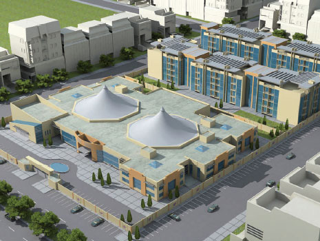 Settling In Continued